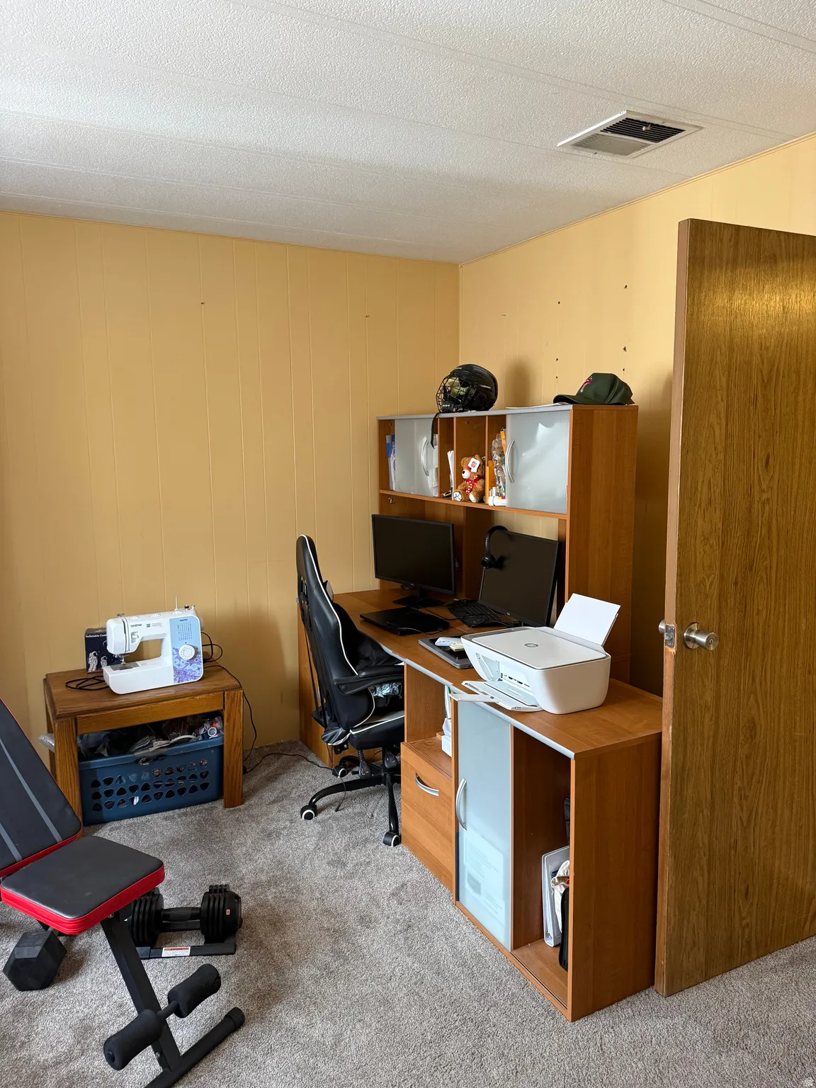 Room featuring light-colored carpet flooring and a painted wall finish