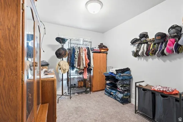 Carpeted interior room with light-toned walls