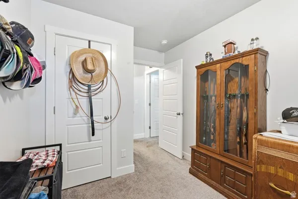 White interior doors with paneling, light gray carpeting, and neutral wall paint