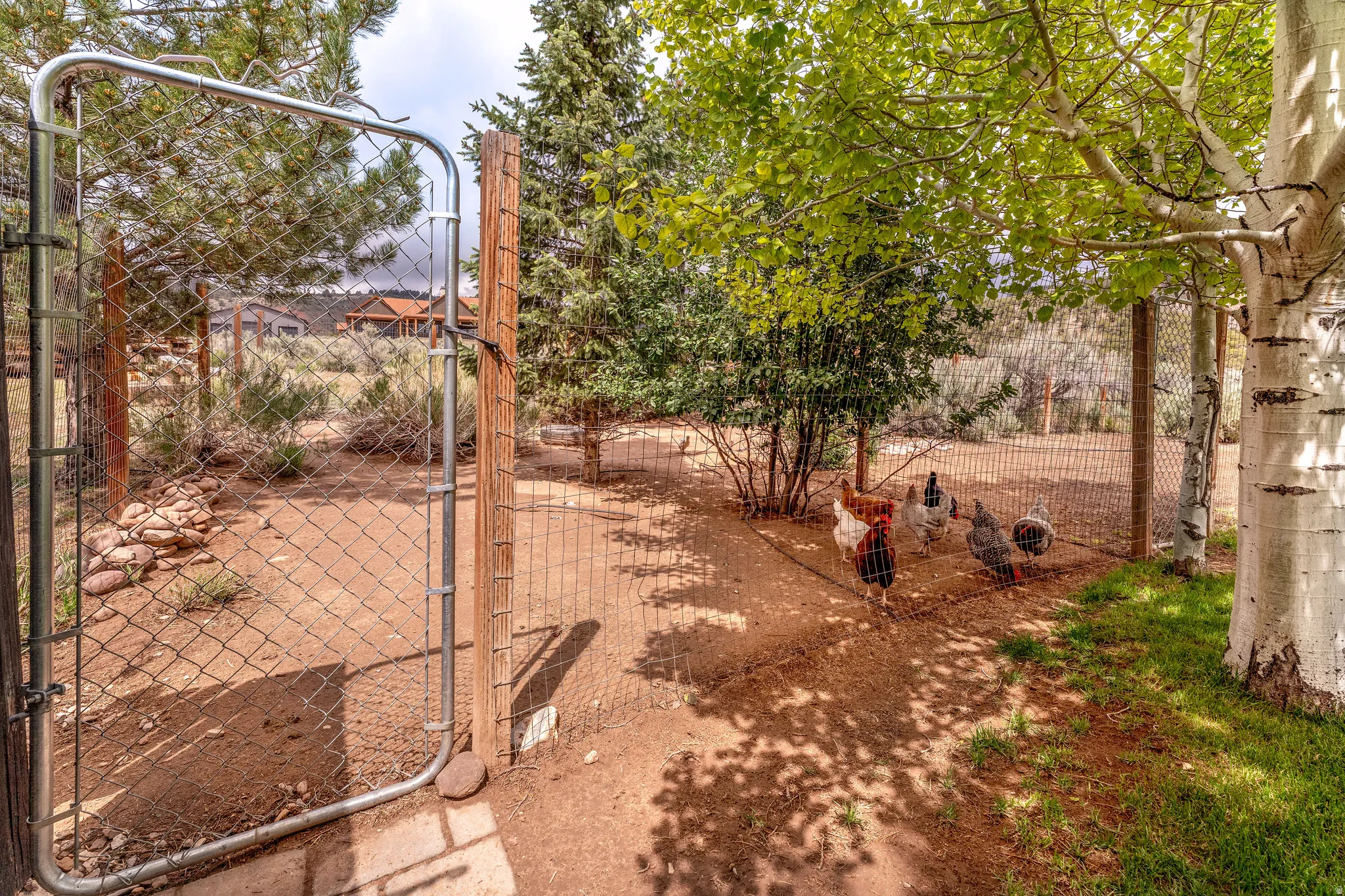 Secure fenced enclosure featuring a chain-link gate