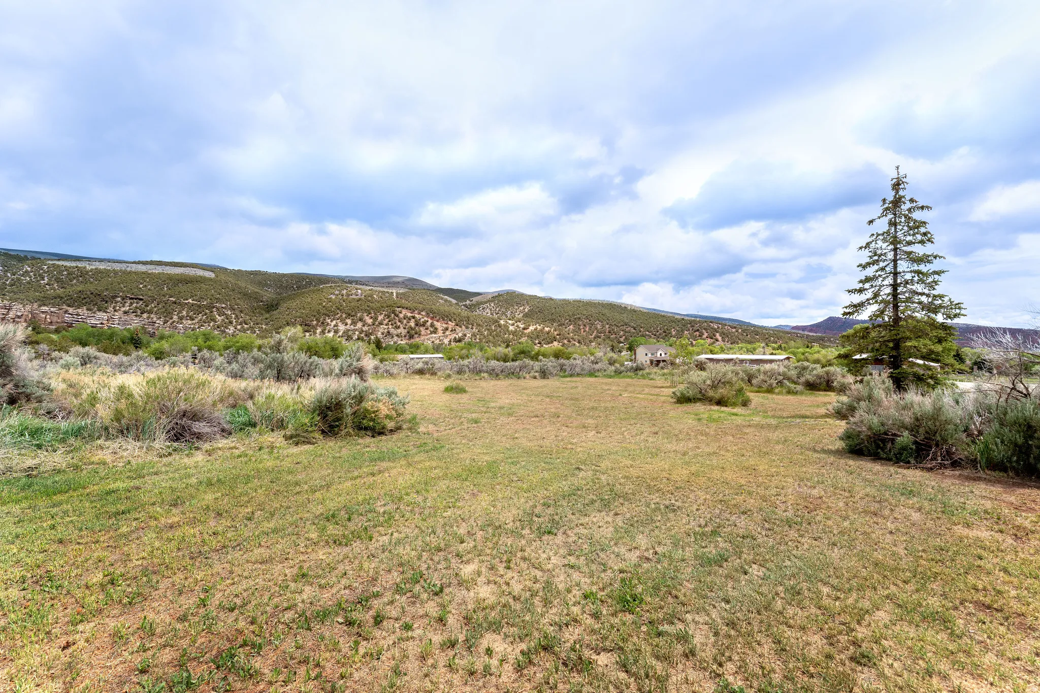 Expansive open field with natural landscaping, distant mountains, and a mature evergreen tree