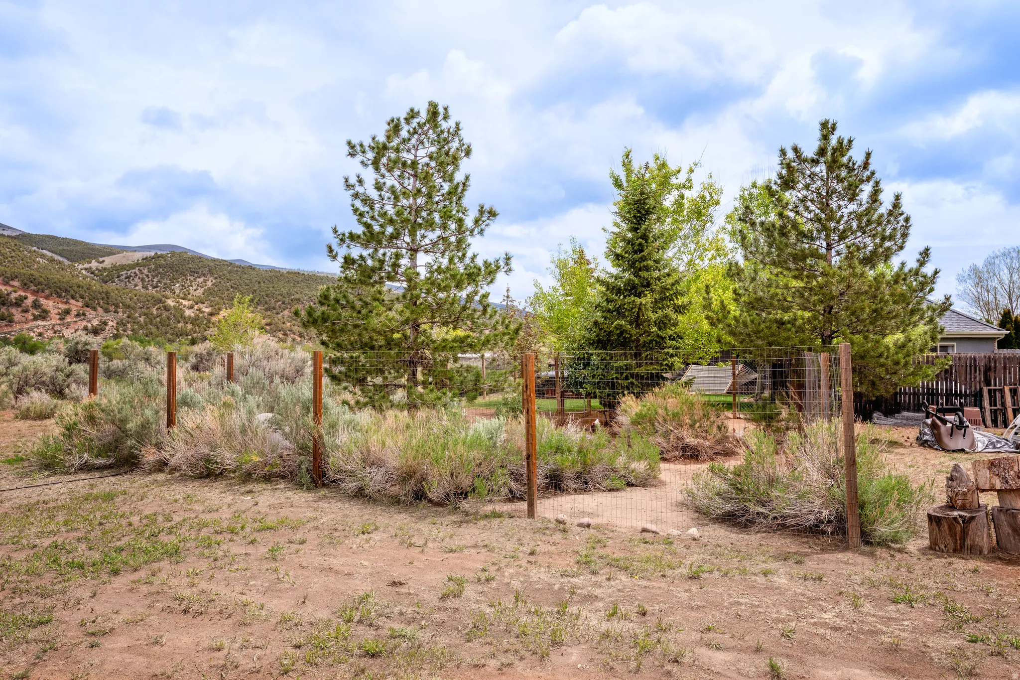 Fenced outdoor area with established trees and natural foliage