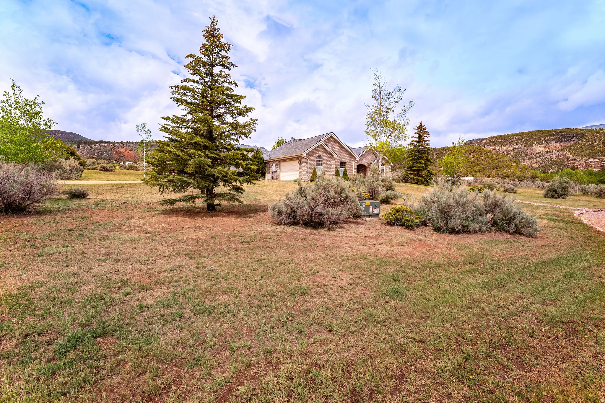 Expansive landscape featuring mature trees and established shrubs
