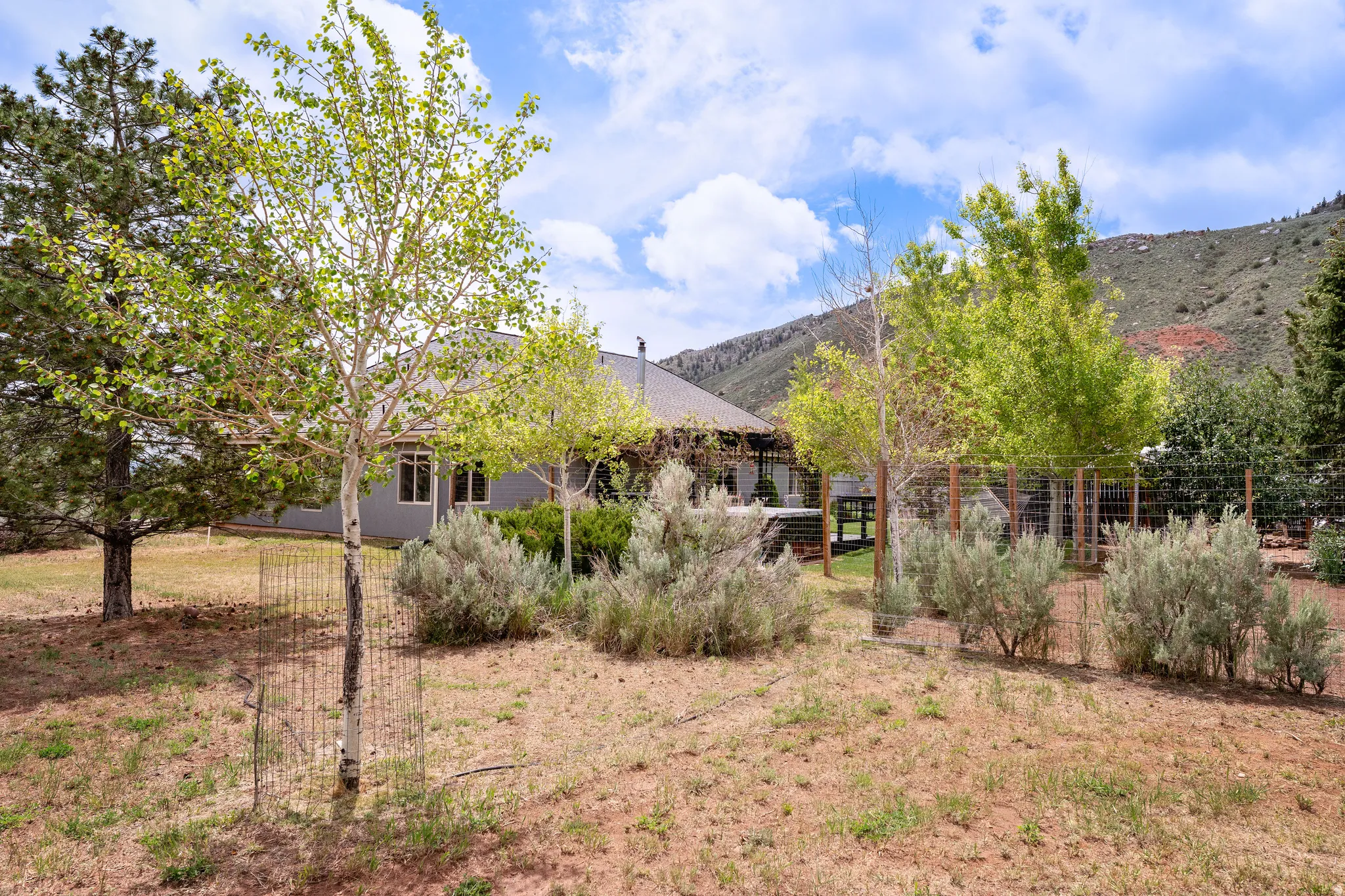Expansive backyard space featuring a gray exterior residence with multiple windows and a covered patio area