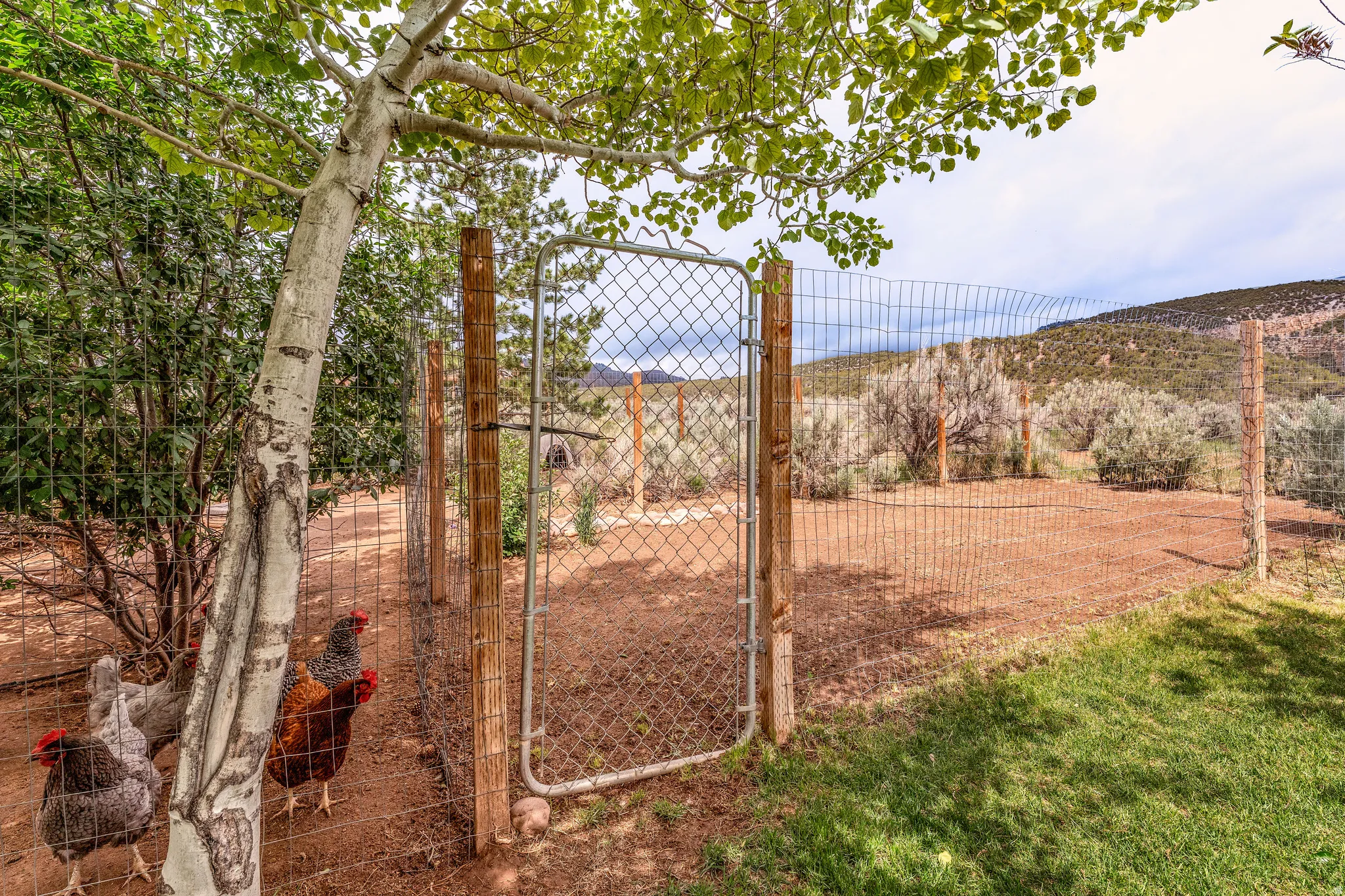 Chain link fence with a gate