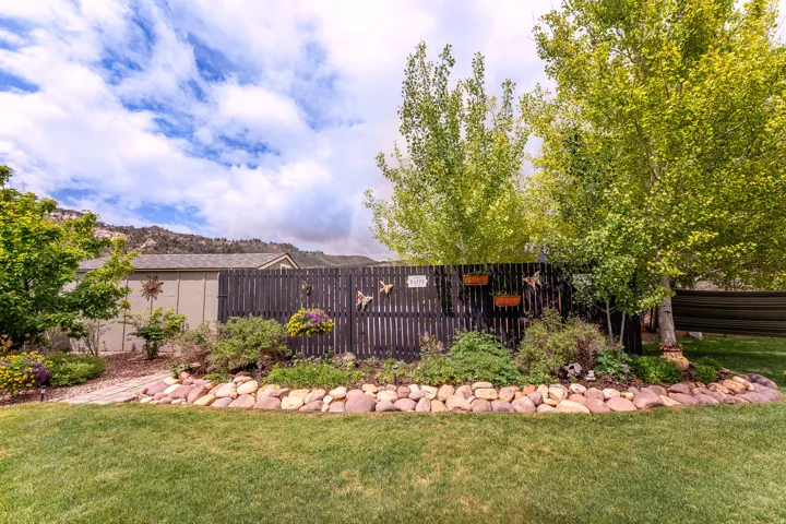 Expansive backyard with a manicured lawn, a privacy fence, and mature trees providing shade