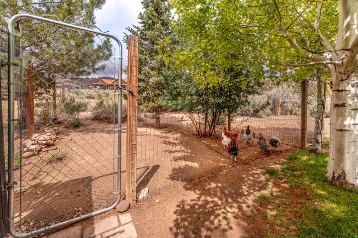 Secure fenced enclosure featuring a chain-link gate