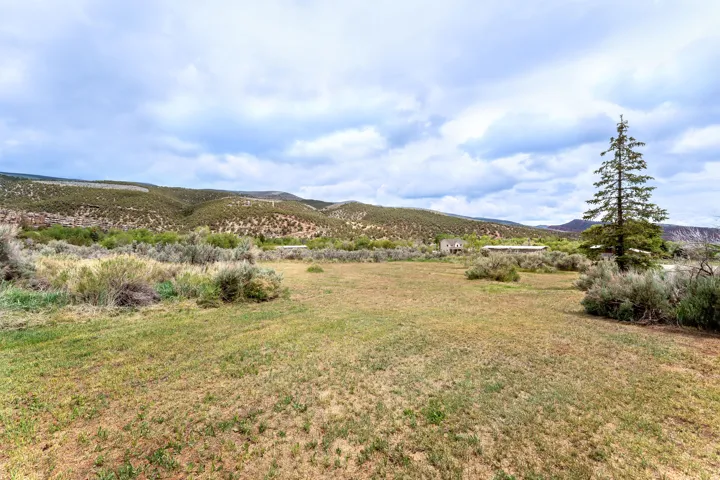 Expansive open field with natural landscaping, distant mountains, and a mature evergreen tree