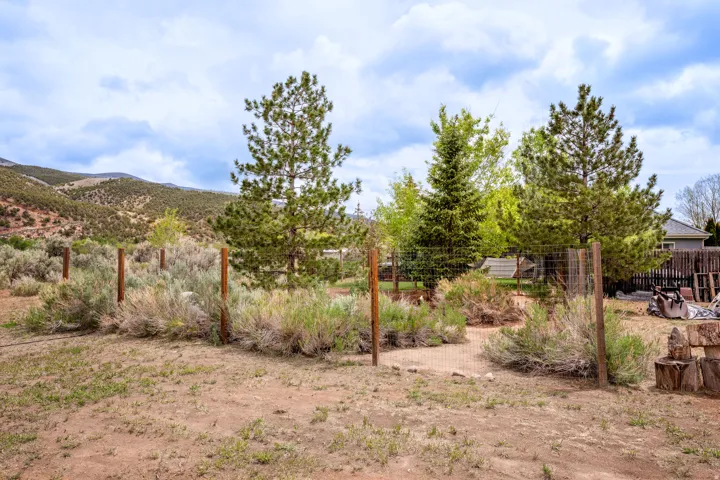 Fenced outdoor area with established trees and natural foliage