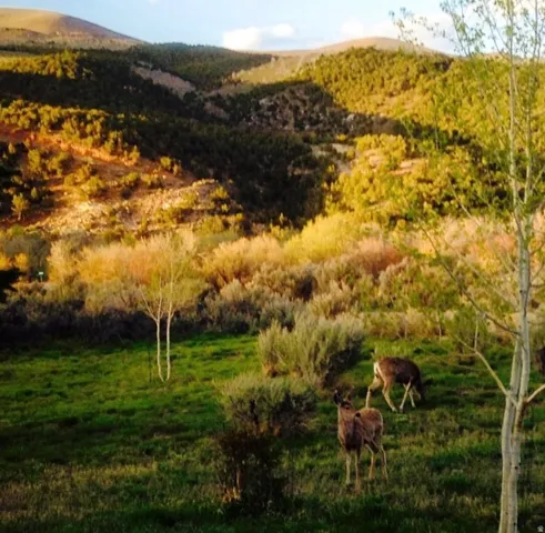 7343 N Sawtooth Cove Rd, Dry Fork, Utah 84078