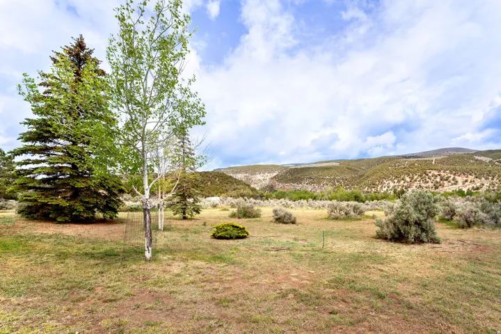 Expansive outdoor area featuring mature evergreen trees and aspens, open grassy terrain, and distant rolling hills