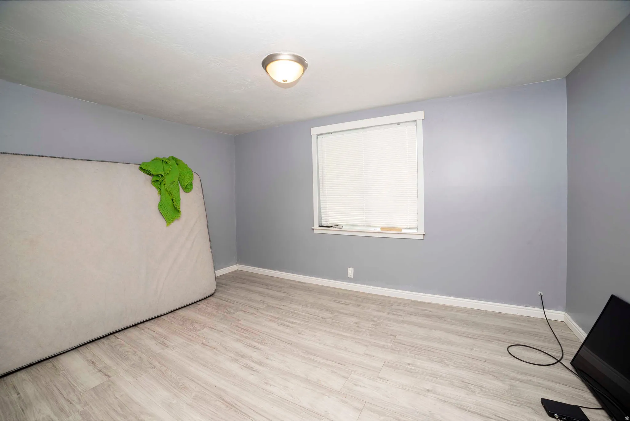 Light gray walls with white trim and wood-finish flooring