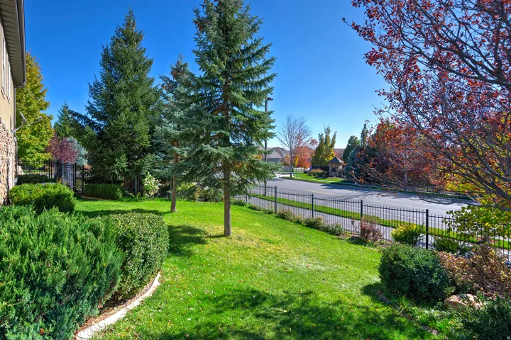 Expansive front yard featuring mature evergreen trees and manicured shrubbery