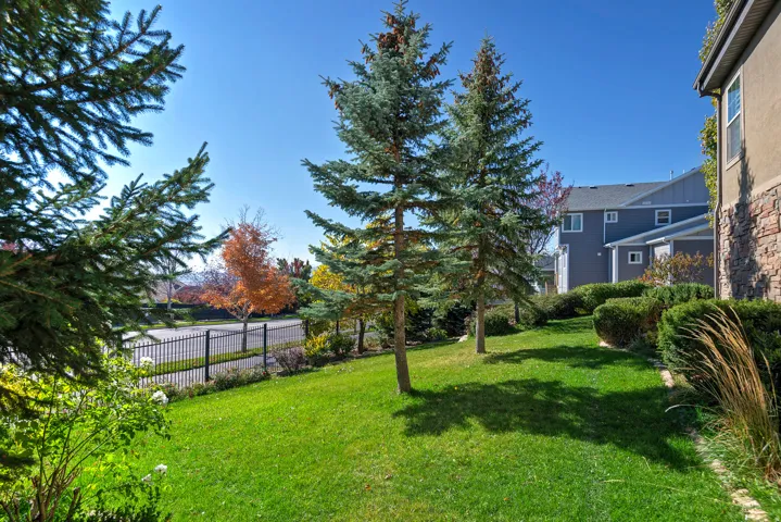 Expansive lawn area featuring mature evergreen trees and manicured shrubbery