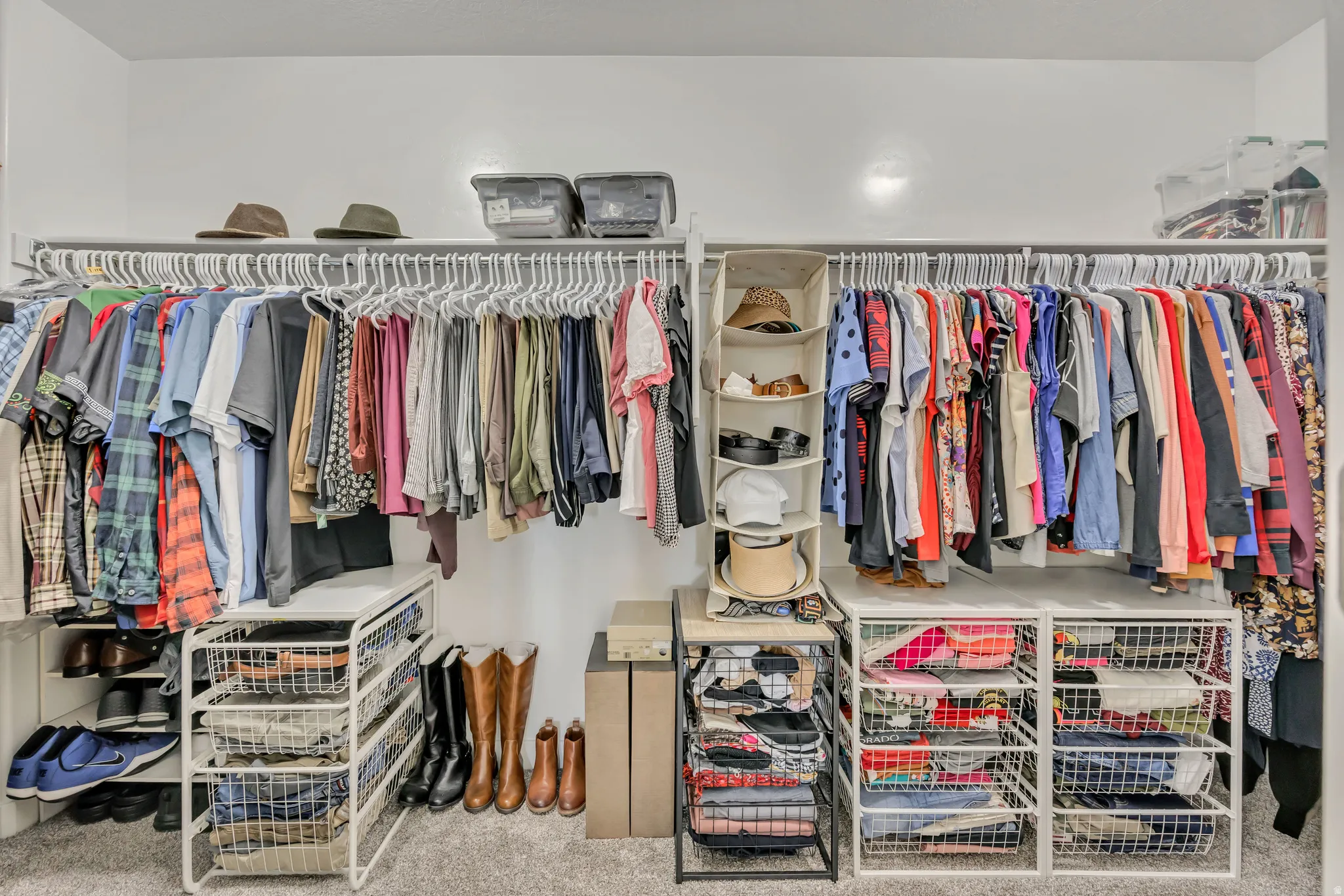 Spacious closet featuring wall-mounted hanging rods, integrated shelving, and carpet flooring