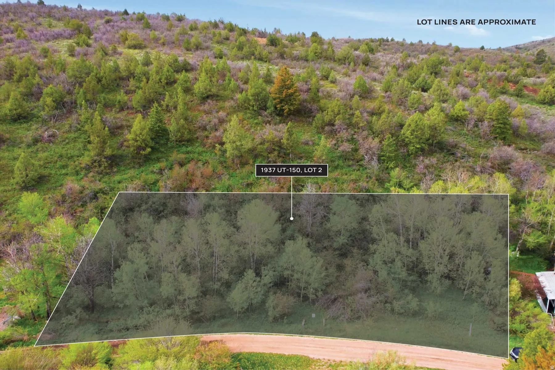Wooded lot featuring mature trees and established ground cover