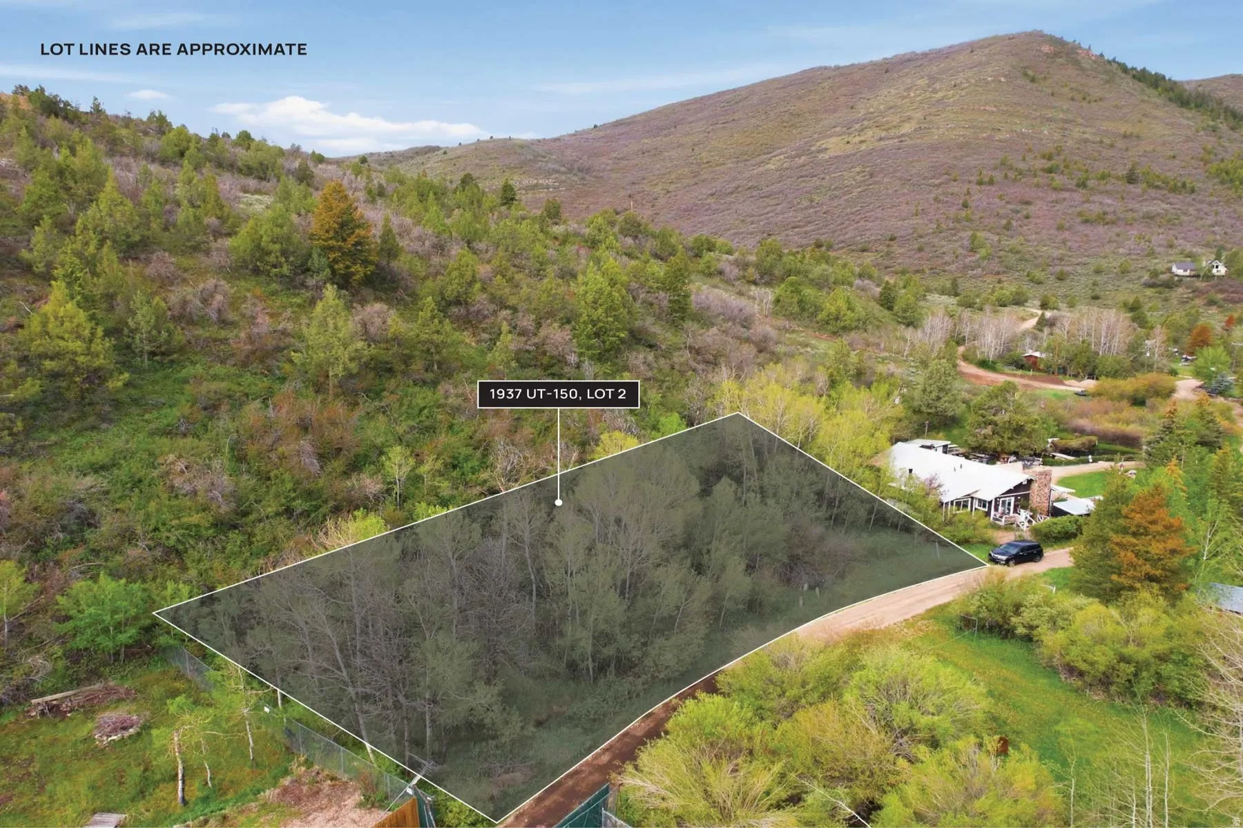 Expansive wooded lot offering a natural landscape with mature trees