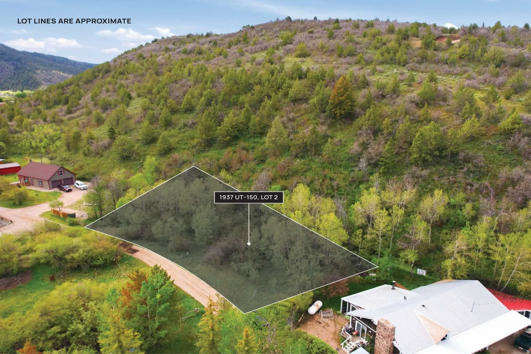 Wooded hillside lot featuring varied topography and natural vegetation