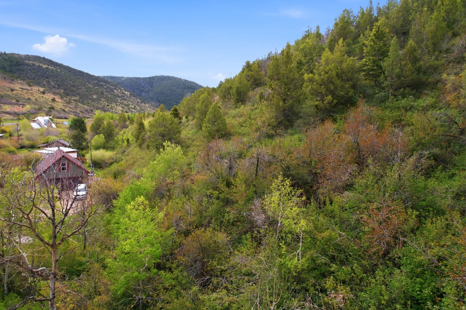 Mountainous terrain featuring diverse natural vegetation and a distant structure