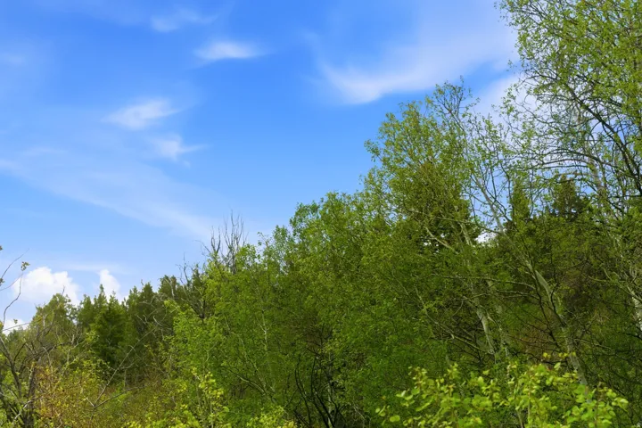 Image quality insufficient for description