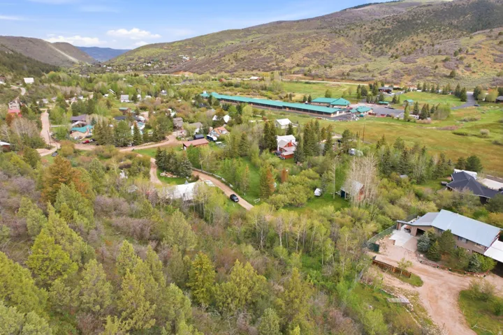 Expansive property surrounded by mature trees and natural landscaping