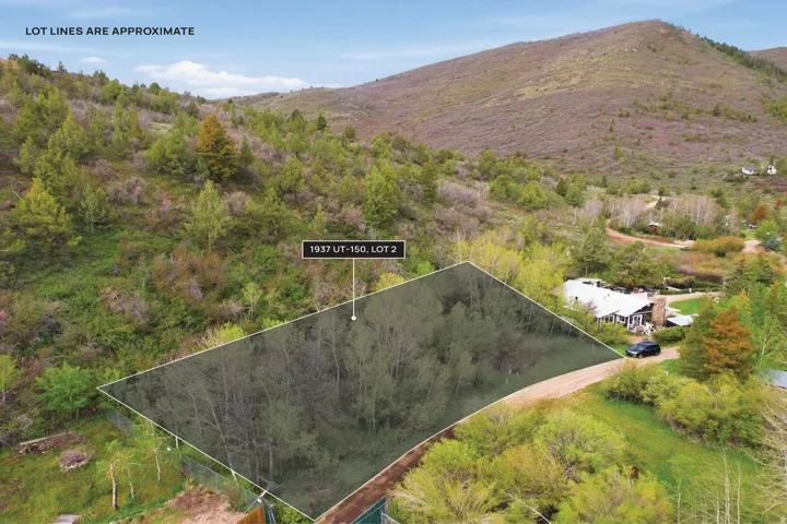 Expansive wooded lot offering a natural landscape with mature trees