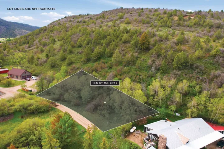 Wooded hillside lot featuring varied topography and natural vegetation