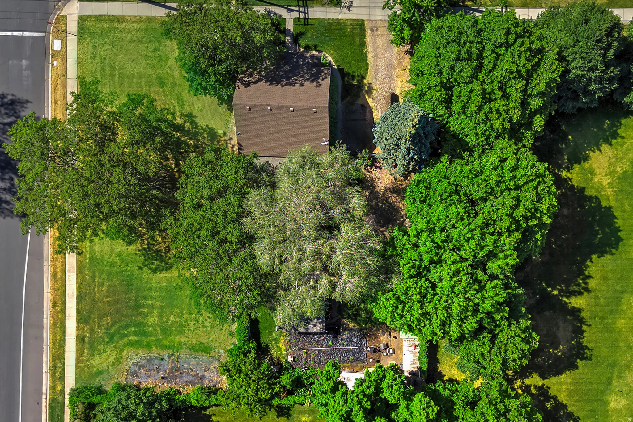 Aerial property overview featuring a brown shingle roof, established landscaping, and mature trees