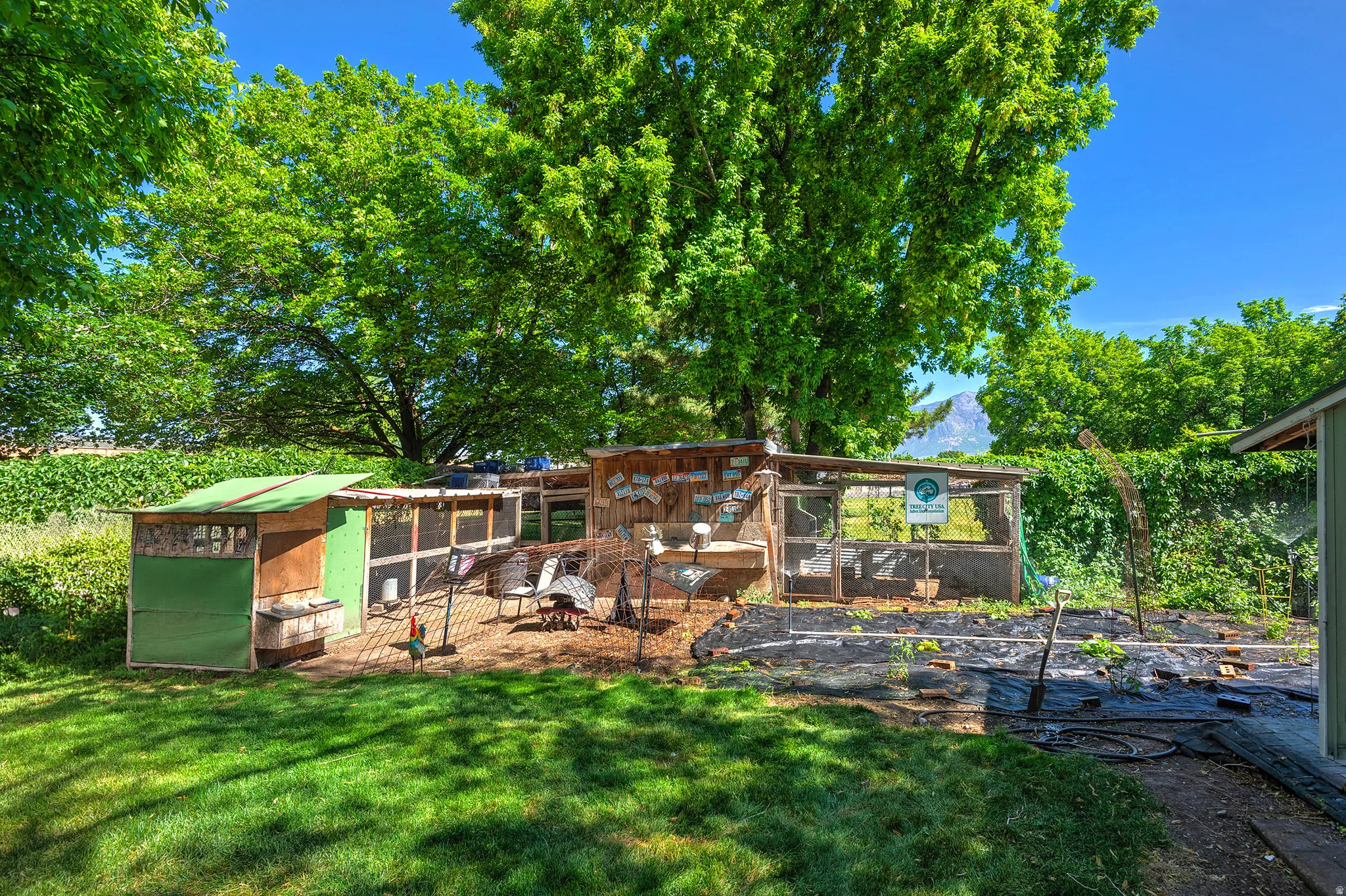 Expansive rear yard featuring an established garden area with ground covering, a multi-sectioned animal enclosure, and mature perimeter trees