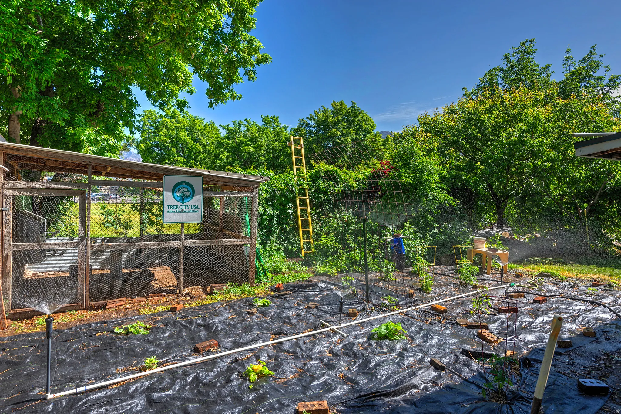 Expansive garden area featuring a chicken coop, cultivated garden beds with irrigation, and mature trees providing natural shading