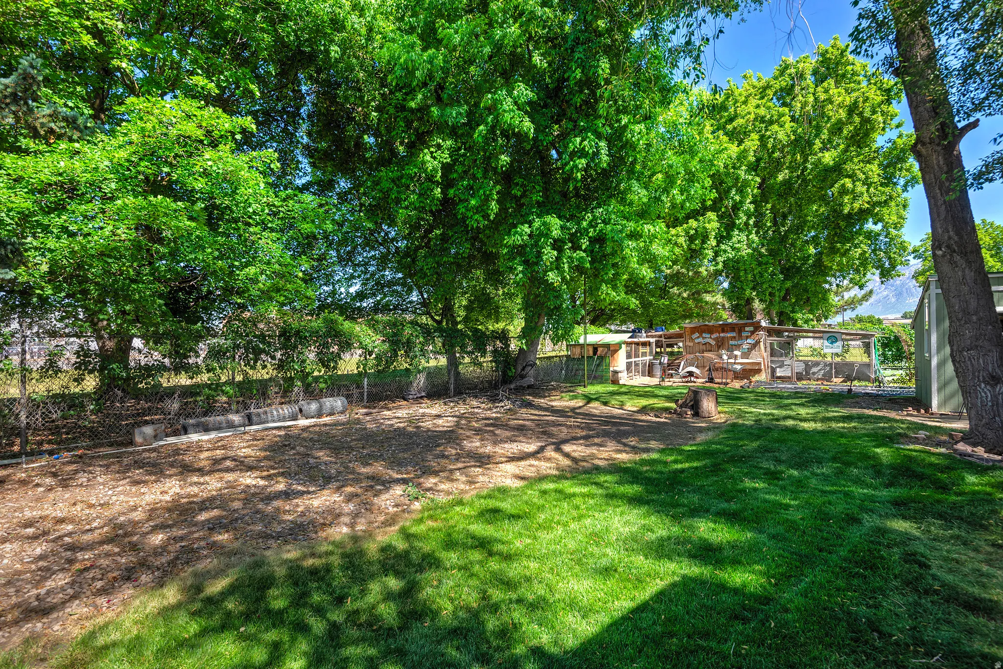 Expansive backyard featuring a manicured lawn, established trees, and a dedicated mulch area