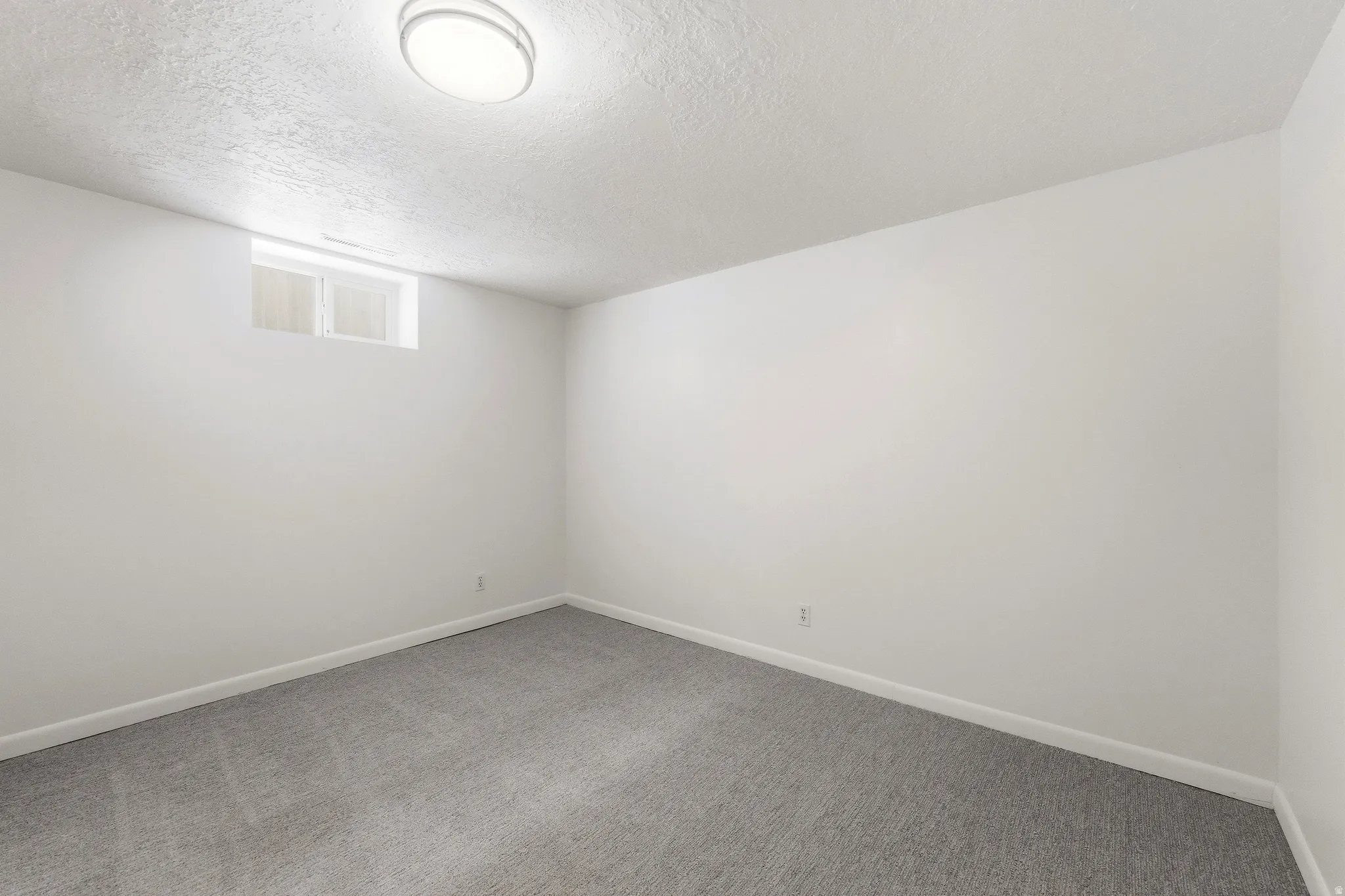 Room with light gray carpeting, white painted walls, and white baseboards