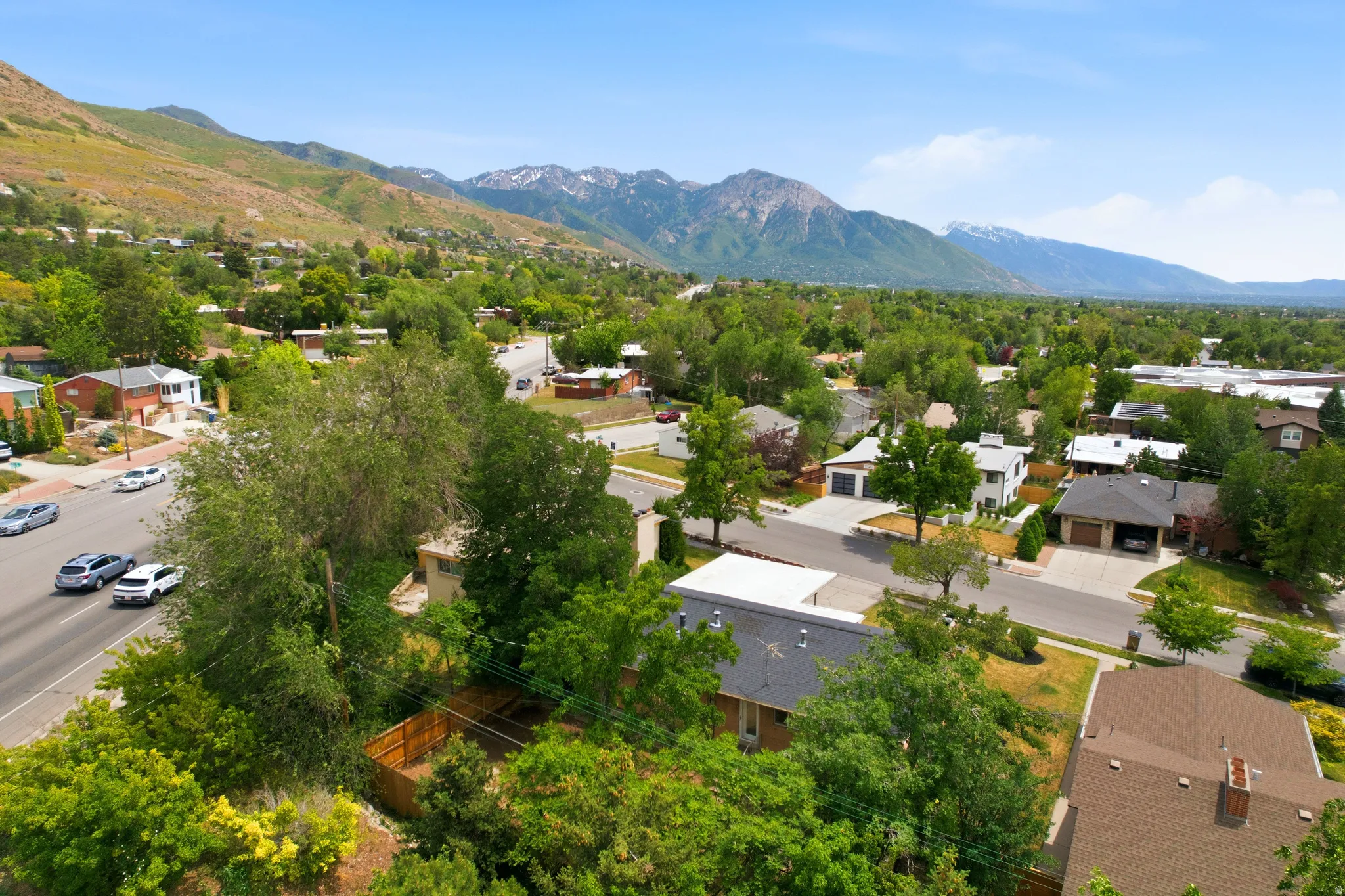 Elevated residential setting with mature trees and mountain backdrops
