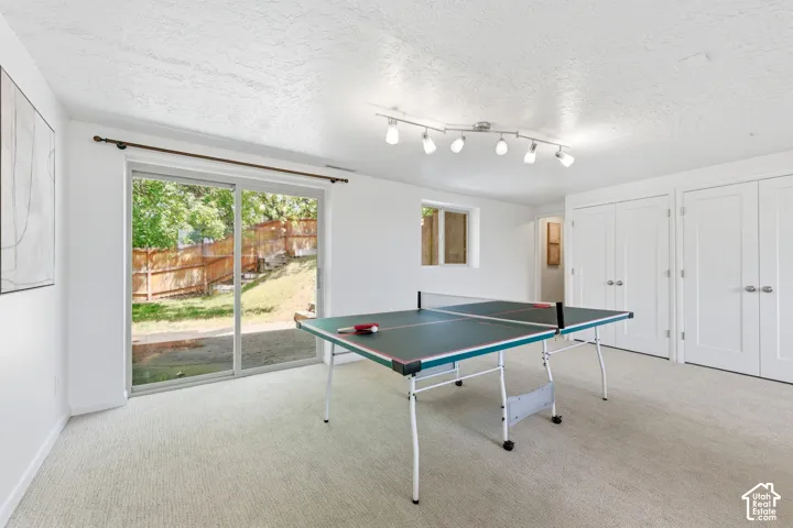 Carpeted recreation room featuring white walls, a sliding glass door to the exterior, a single casement window, track lighting, and two sets of double-door closets