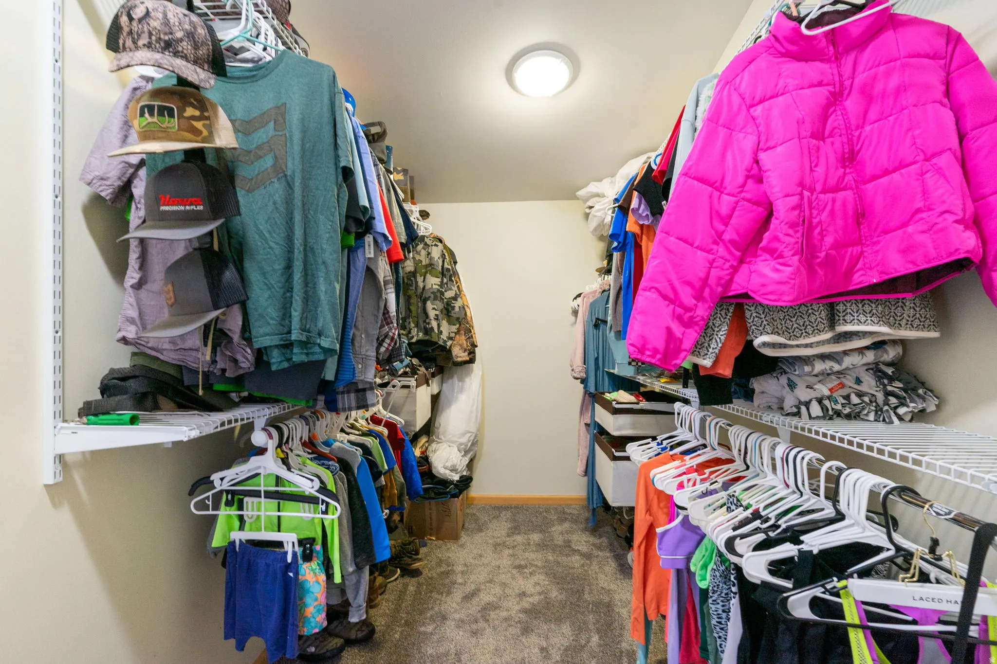 Walk-in closet with carpet flooring, light neutral wall paint, and overhead flush-mount lighting