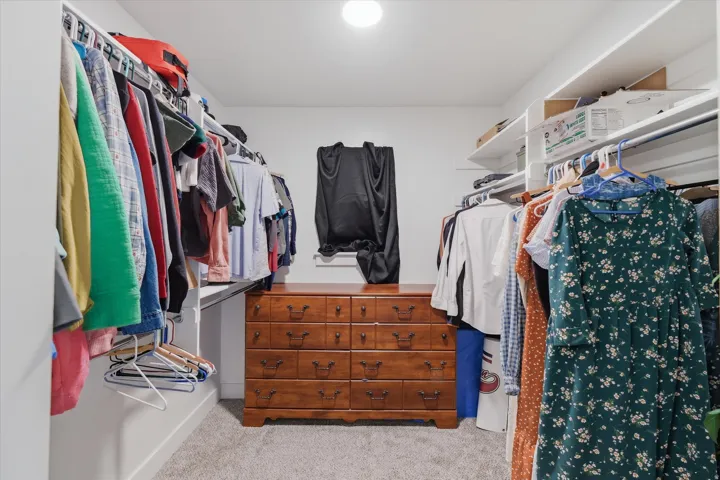 Carpeted walk-in closet featuring white walls, a flush-mount ceiling light, and extensive storage shelving with hanging rods