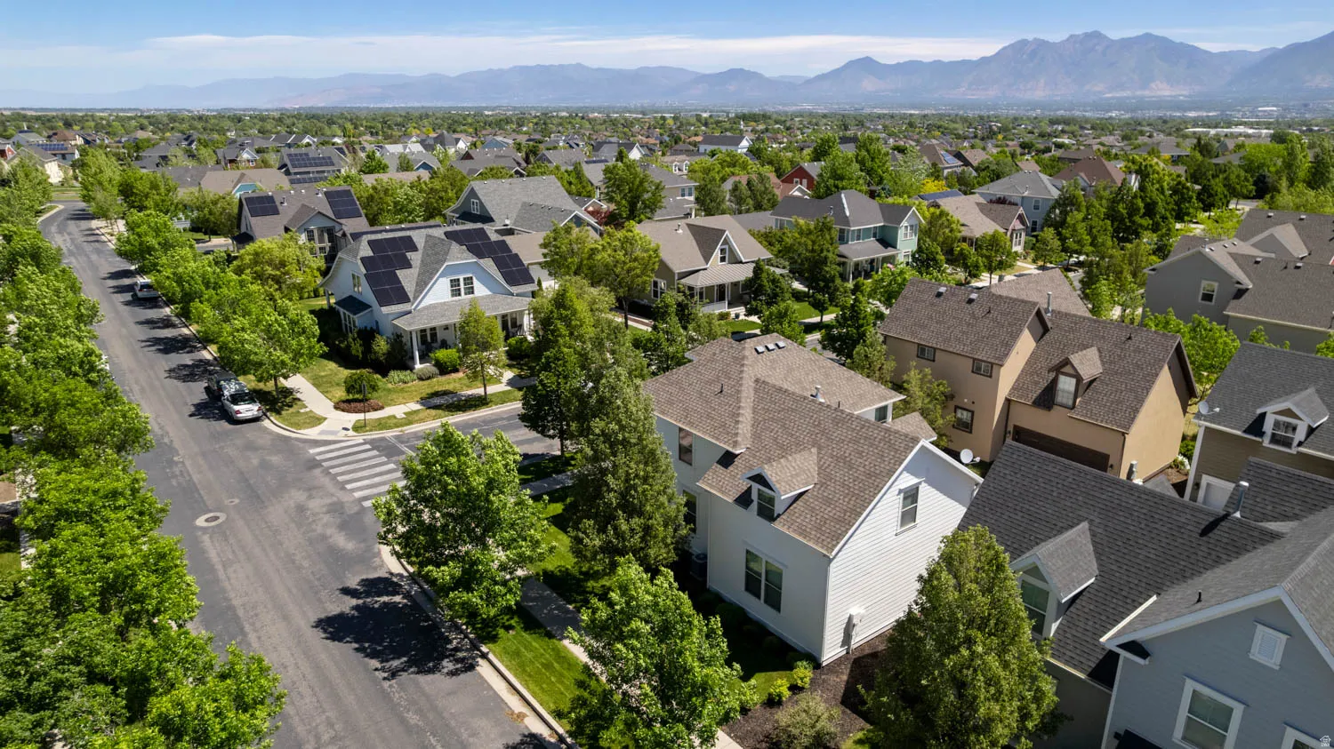 Aerial perspective showcasing a residential area with varied home exteriors, mature street trees, and distant mountain ranges