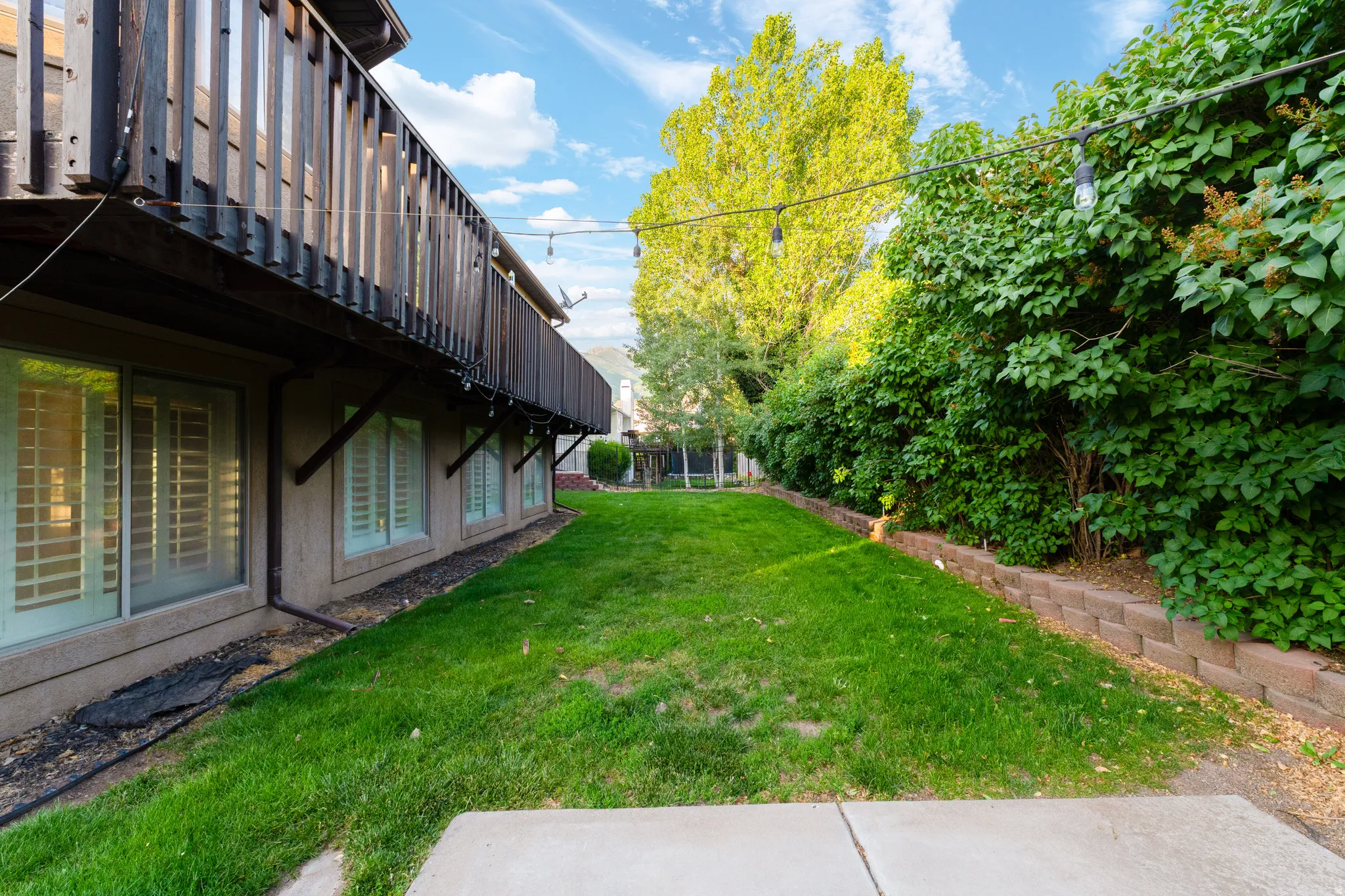Expansive green lawn alongside a retaining wall with mature privacy plantings