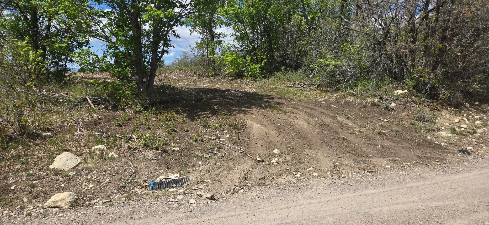 Sloping lot with natural terrain and partial tree coverage