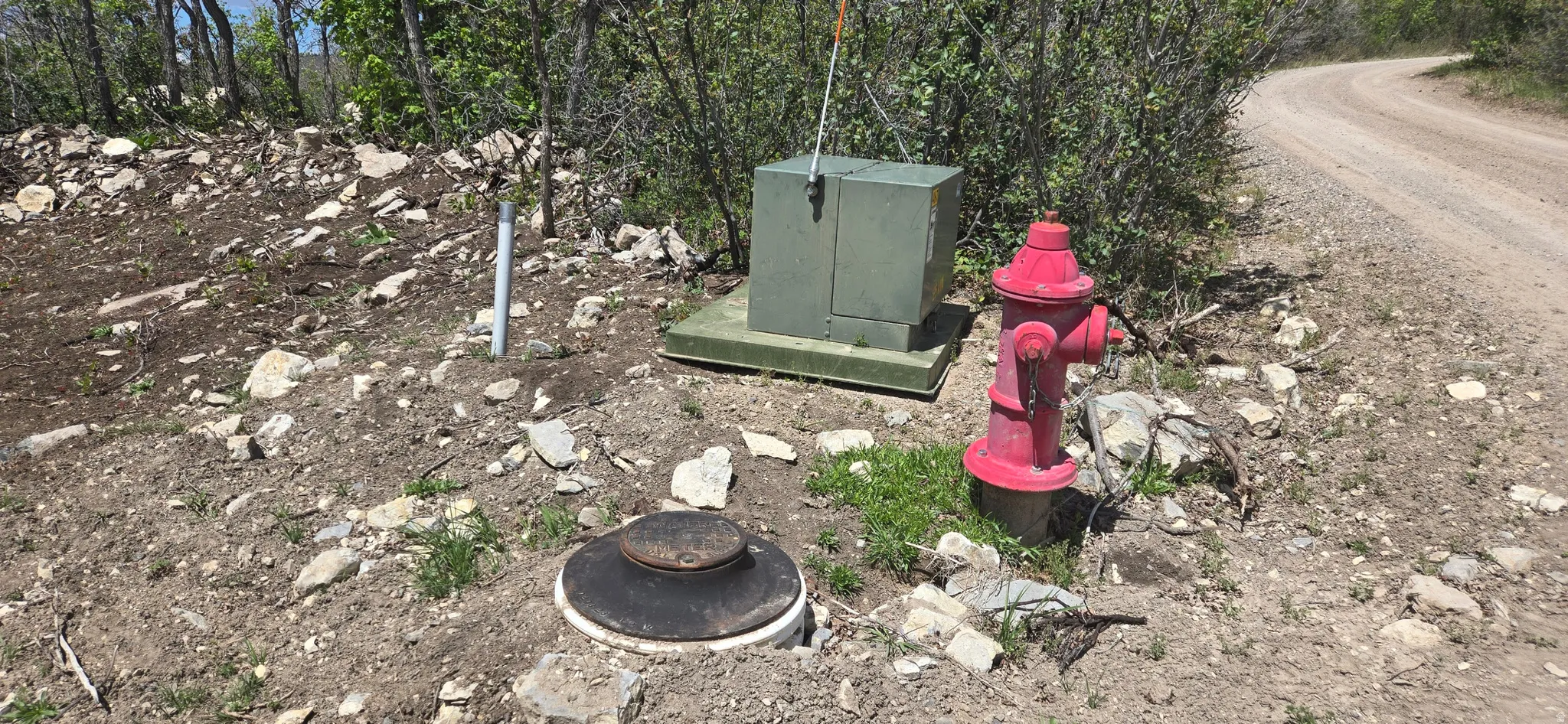 Utility box and fire hydrant