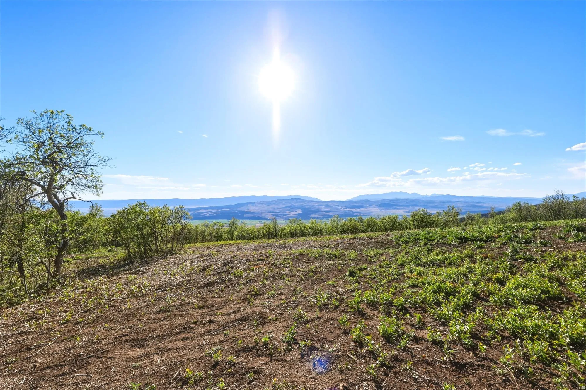 Expansive land parcel featuring existing trees, a clear blue sky, distant mountains, and varied natural ground cover