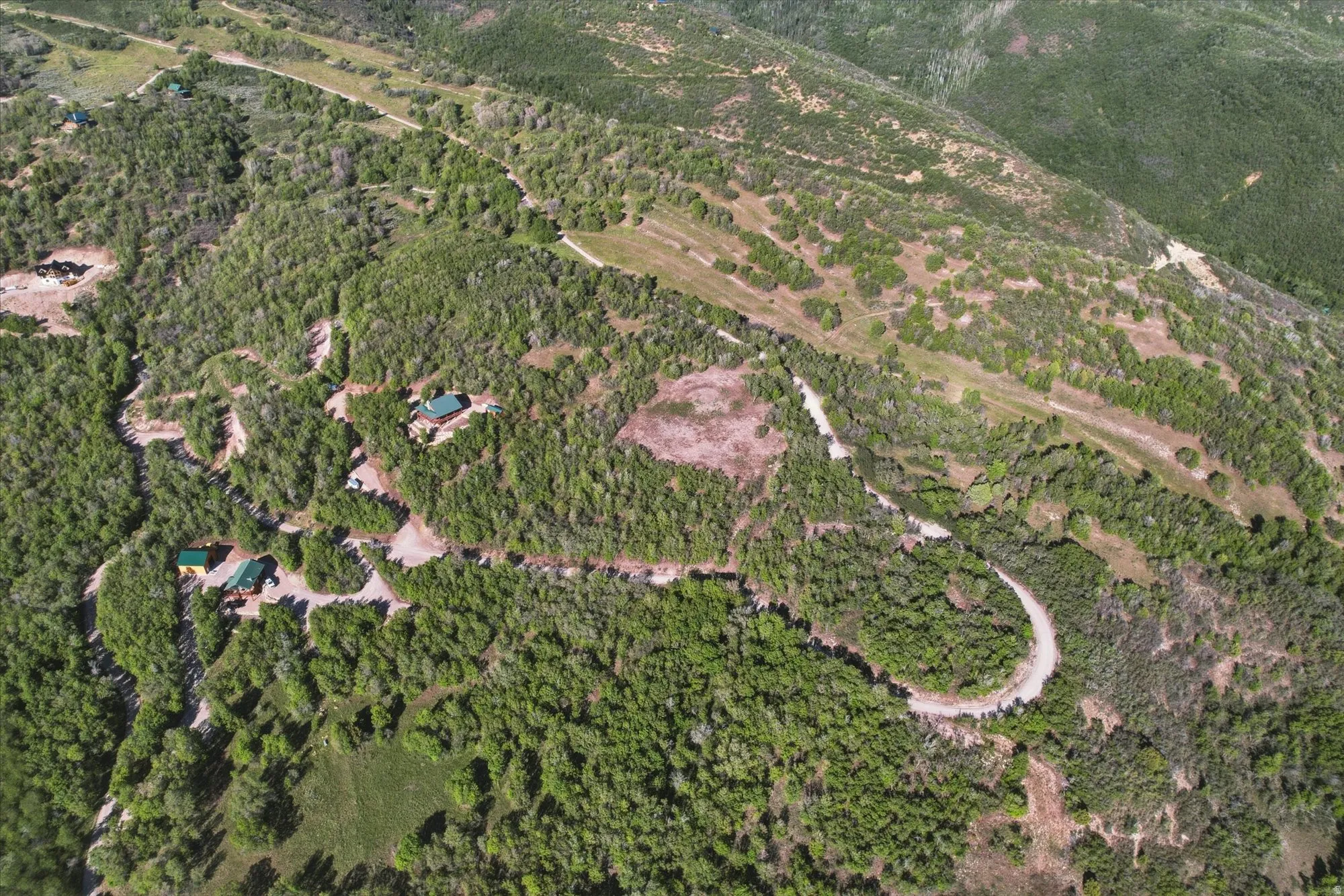 Expansive, undeveloped acreage featuring mature trees and mountainous terrain
