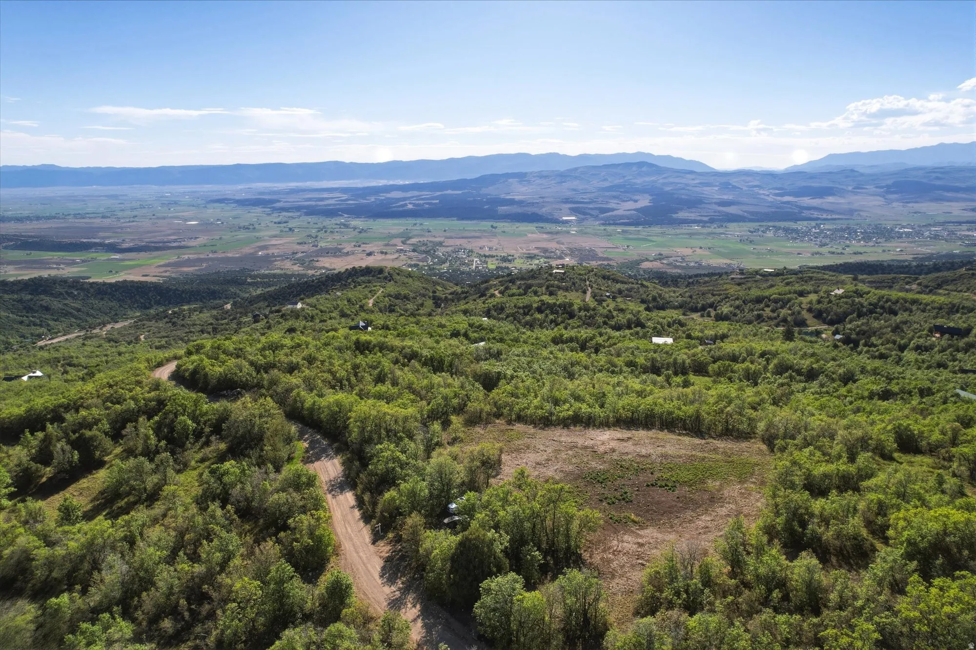 Expansive treed parcel with a visible dirt road and a cleared building site