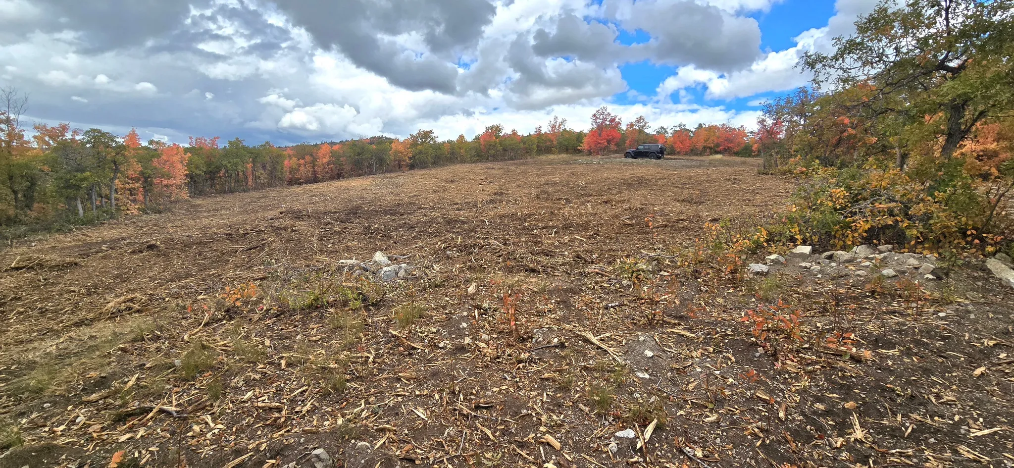 Cleared land parcel