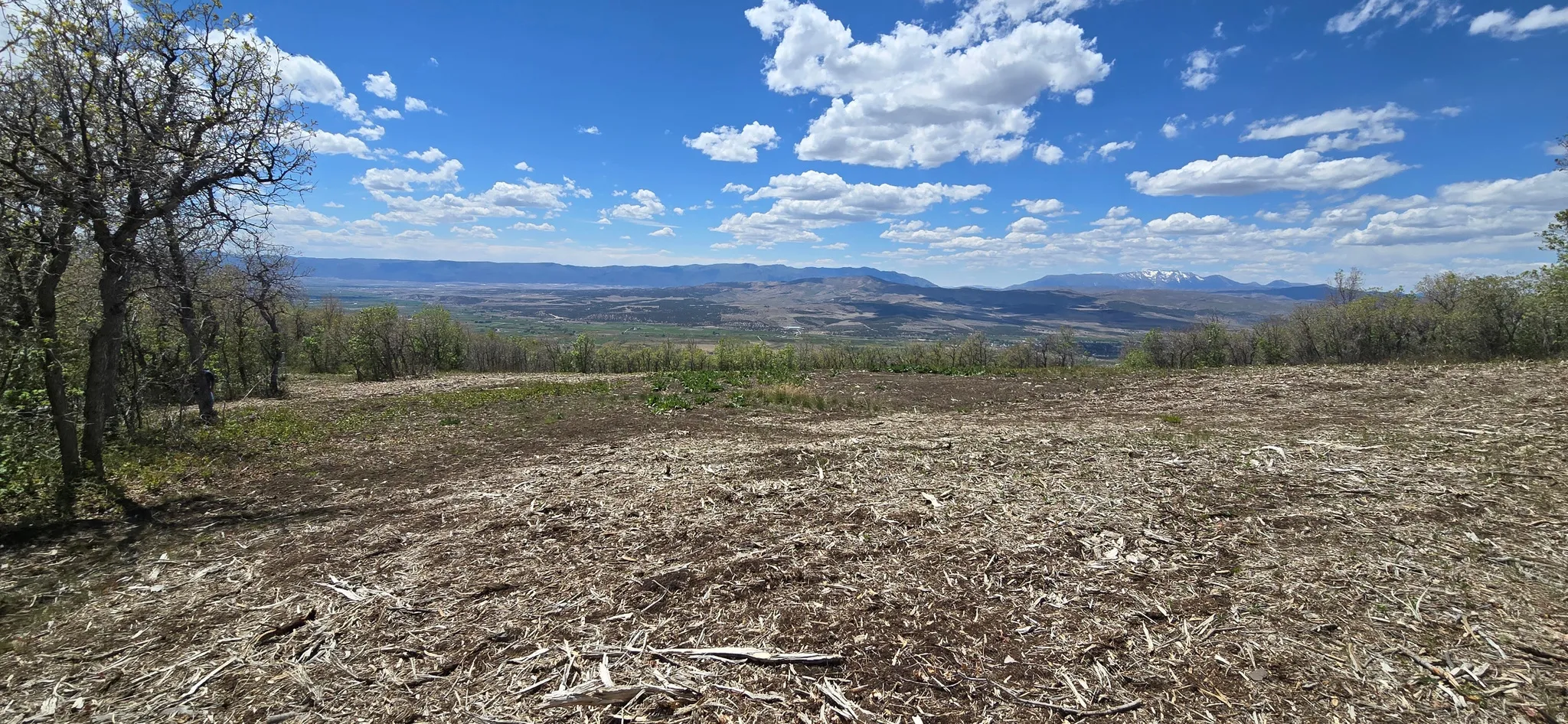 Expansive cleared land parcel with distant mountain ranges and a partially wooded perimeter