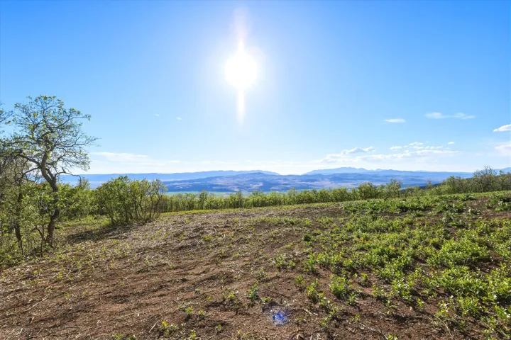 Expansive land parcel featuring existing trees, a clear blue sky, distant mountains, and varied natural ground cover