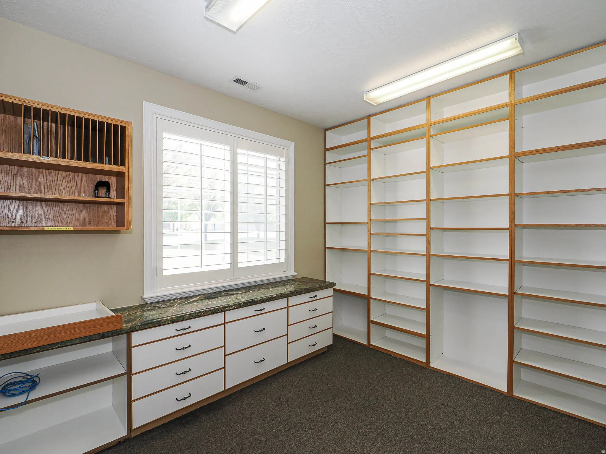 Walk in closet with dark carpet
