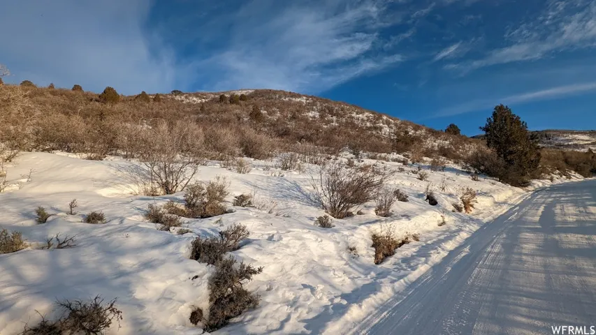 Snow-covered landscape with a dirt road, gentle slopes, mature trees, and natural brush