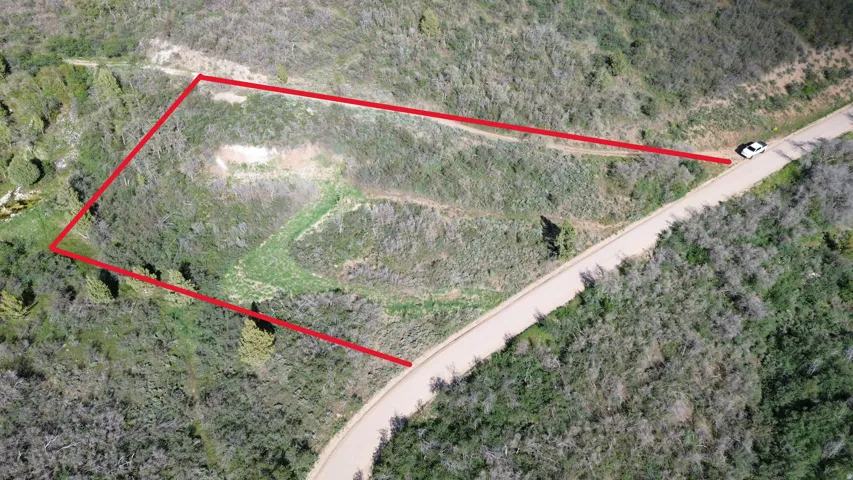 Expansive undeveloped lot featuring varied topography and natural vegetation
