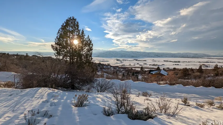 Expansive snow-covered landscape with distant mountains, a residential structure, and mature trees